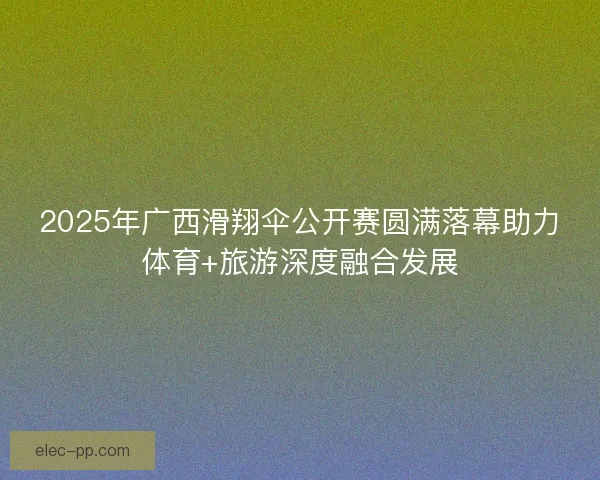 2025年广西滑翔伞公开赛圆满落幕助力体育+旅游深度融合发展