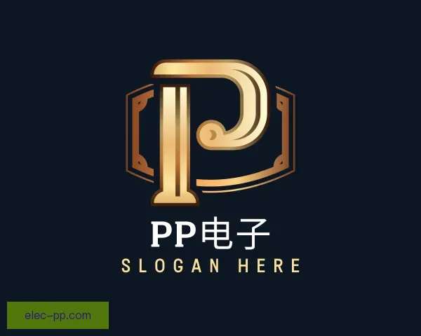 介绍PP电子